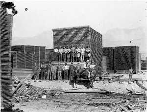 Piles of lumber being air-dried in a lumber yard. Sikh is on horseback.