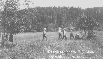 1909 Workers on the Pacific & Eastern Railroad construction.